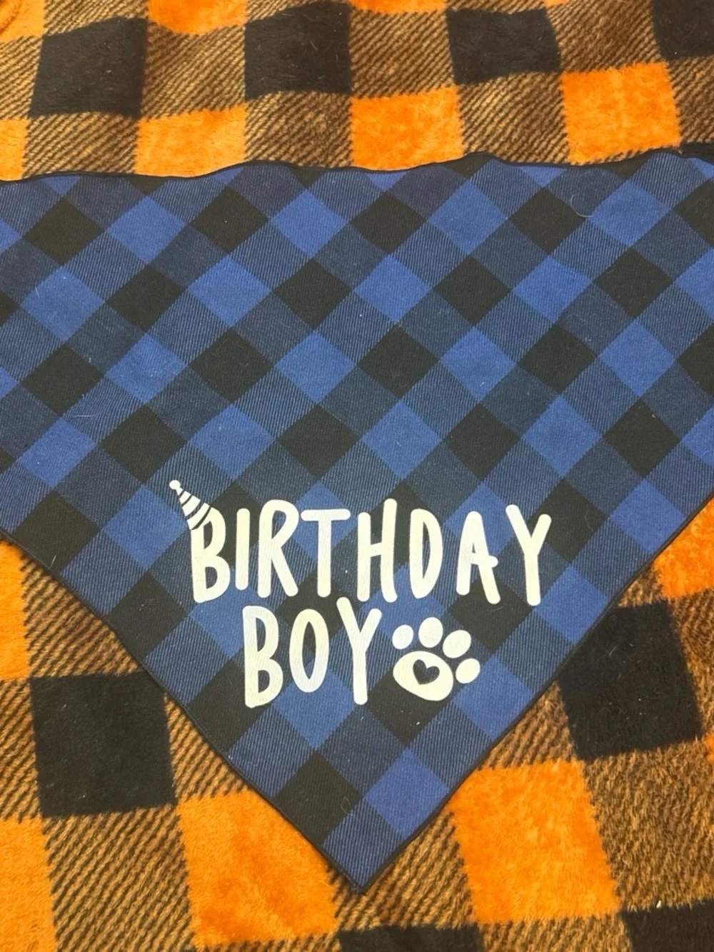 N/A celebrate your